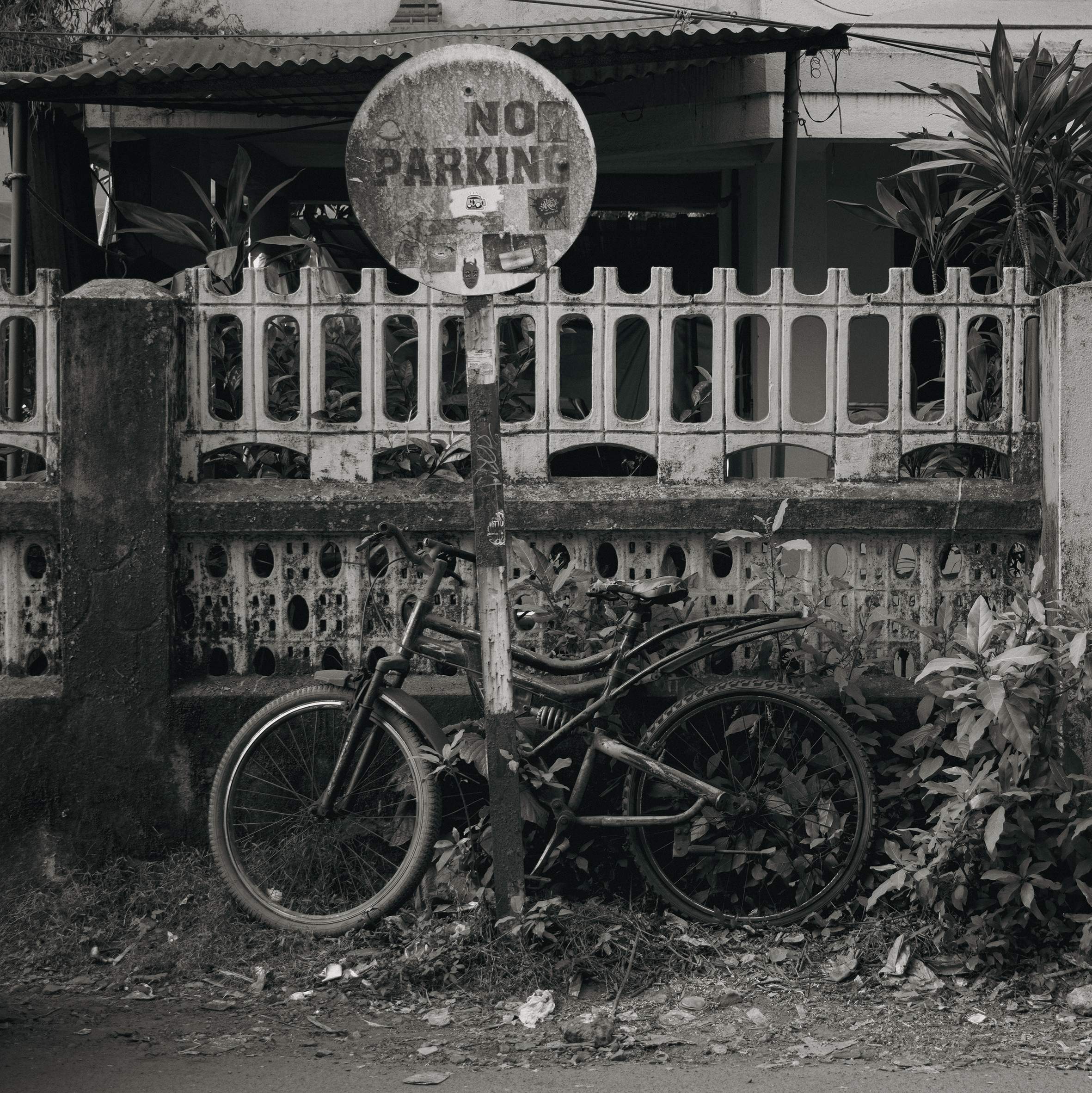 cykel goa copy 2